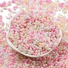 Glass Seed Beads SEED-K009-02B-17-2