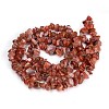 Natural Carnelian Beads Strands G-G011-01-3