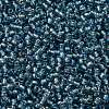 TOHO Round Seed Beads X-SEED-TR11-0275-2