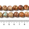 Dyed Natural Regalite/Imperial Jasper/Sea Sediment Jasper Beads Strands G-B124-C03-11-3