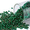 TOHO Round Seed Beads X-SEED-TR11-0036F-1