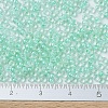 MIYUKI Round Rocailles Beads SEED-JP0008-RR0218-4