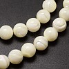 Shell Beads Strands SSHEL-E571-39-4mm-3