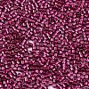 FGB 11/0 Grade A Glass Seed Beads SEED-S030-1211-2