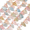 Natural Morganite Beads Strands G-P604-A07-01-2