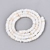 Natural Freshwater Shell Beads Strands SHEL-Q028-01A-2