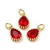 Brass Micro Pave Cubic Zirconia Pendants ZIRC-D120-01G-02-1
