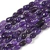 Natural Amethyst Bead Strands G-J280-08-2