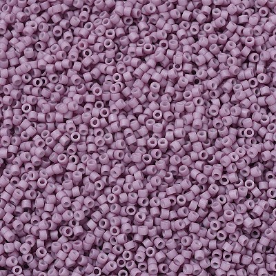 MIYUKI Delica Beads LS-X-SEED-J020-DB0800-1