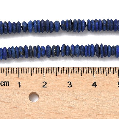 Natural Lapis Lazuli Beads Strands G-L644-B02-02-1