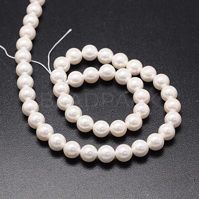 Shell Pearl Beads Strands BSHE-E008-10mm-12-1