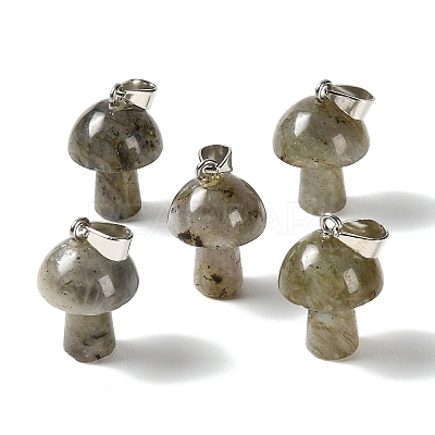 Natural Labradorite Pendants GG-CBAA0EE-05P-04-1