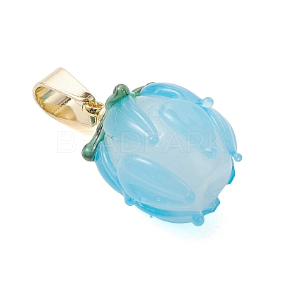 Handmade Lampwork Pendants PALLOY-JF05186-1