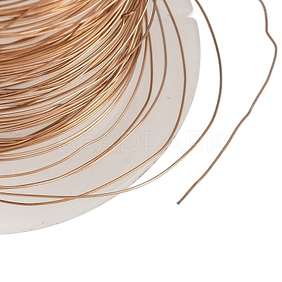 304 Stainless Steel Wire STAS-A115-01RG-0.3mm-1