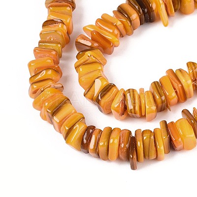 Natural Freshwater Shell Beads Strands SHEL-N037-01A-1