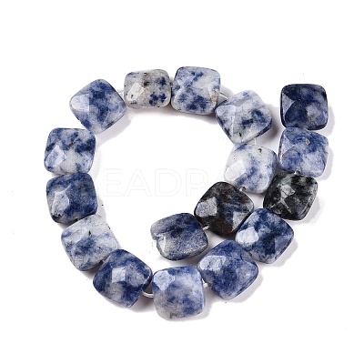 Natural Blue Spot Jasper Beads Strands G-T138-172-1