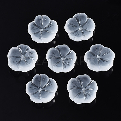 Transparent Frosted Glass Beads GLAA-Q089-003-B001-1