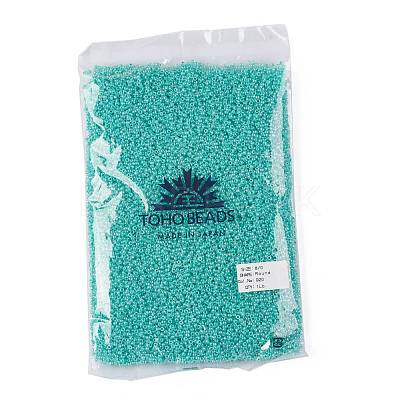 TOHO Round Seed Beads SEED-TR08-0920-1