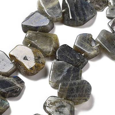 Natural Labradorite Beads Strands G-P528-K10-01-1