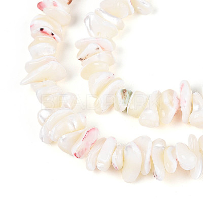 Natural Trochid Shell/Trochus Shell Beads Strands SSHEL-T017-29-1