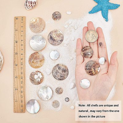Natural Akoya Shell Pendants SHEL-SC0001-02-1