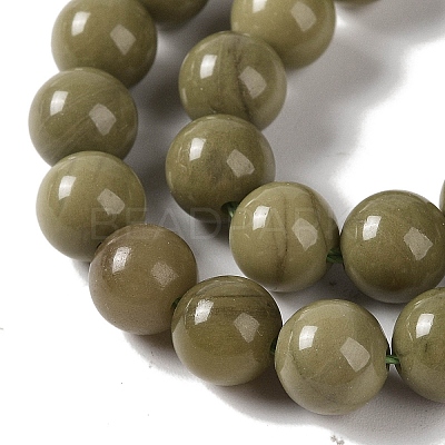 Natural Alashan Agate Beads Strands G-P530-B05-03-1