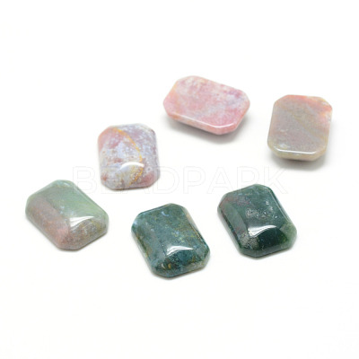 Natural Indian Agate Gemstone Cabochons X-G-T028-18x25mm-06-1