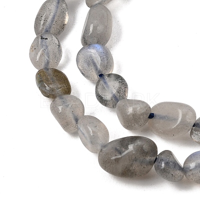 Natural Labradorite Nuggets Beads Strands G-J335-40-1