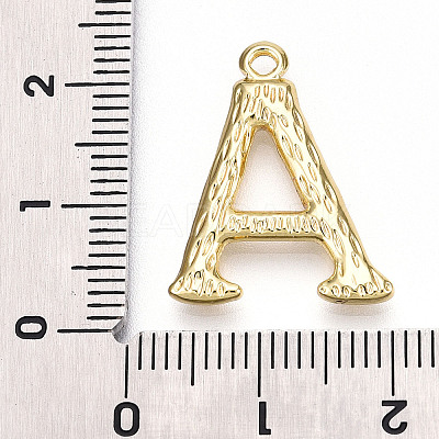 304 Stainless Steel Pendants STAS-N117-01G-A-1