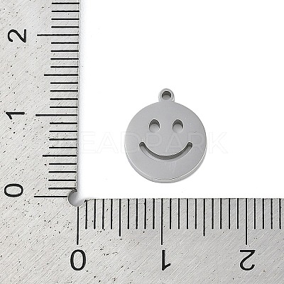 304 Stainless Steel Charms STAS-F310-01P-1