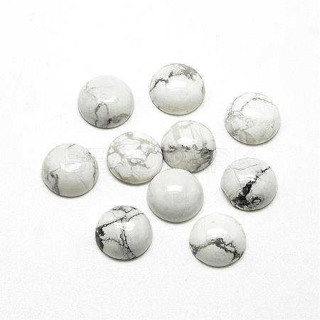 Natural Howlite Cabochons G-R416-14mm-29-1