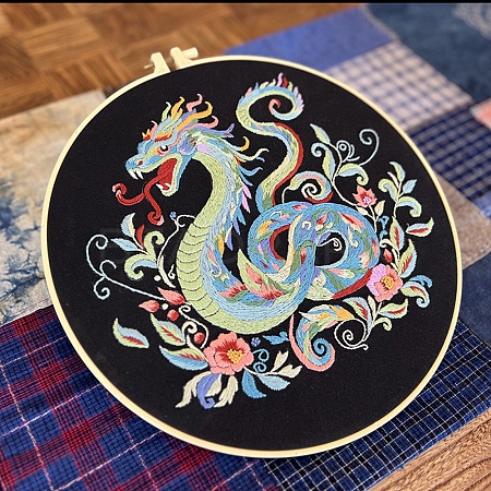 DIY Dragon Pattern Embroidery Kits for Beginners PW-WG0AF0D-04-1