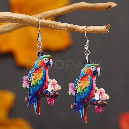 Colorful Acrylic Dangle Earrings HJ6740-6-1