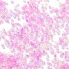 Transparent Colours Glass Seed Beads SEED-H003-01L-3