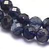 Natural Iolite Beads Strands G-O171-13-5mm-3
