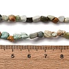 Natural Variscite Beads Strands G-I389-A32-5