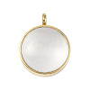 Ion Plating(IP) 304 Stainless Stee Locket Pendants STAS-S132-15G-03-1