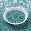 MIYUKI Round Rocailles Beads X-SEED-G007-RR0435-2