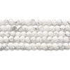 Natural Howlite Beads Strands X-G-E608-A01-B-1