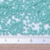MIYUKI Round Rocailles Beads SEED-X0054-RR0412L-4