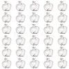 DICOSMETIC 304 Stainless Steel Charms STAS-DC0011-23-1