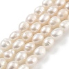 Natural Cultured Freshwater Pearl Beads Strands PEAR-P062-06D-2