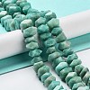 Natural Amazonite Beads Strands G-D091-A20-2