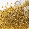 TOHO Round Seed Beads SEED-JPTR11-0752-1