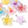 Transparent Resin Pendants RE-A001-01-2