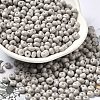 Baking Paint Glass Seed Beads SEED-B001-02A-04-1