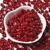 Opaque Colours Glass Seed Beads SEED-E001-P3x6mm-13-2