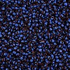 8/0 Glass Seed Beads SEED-S006-2-3