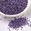 MIYUKI Delica Beads X-SEED-J020-DB0430-1