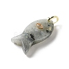Natural Labradorite Pendants G-Z102-02G-05-2